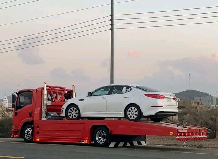 سطحة القيصومة